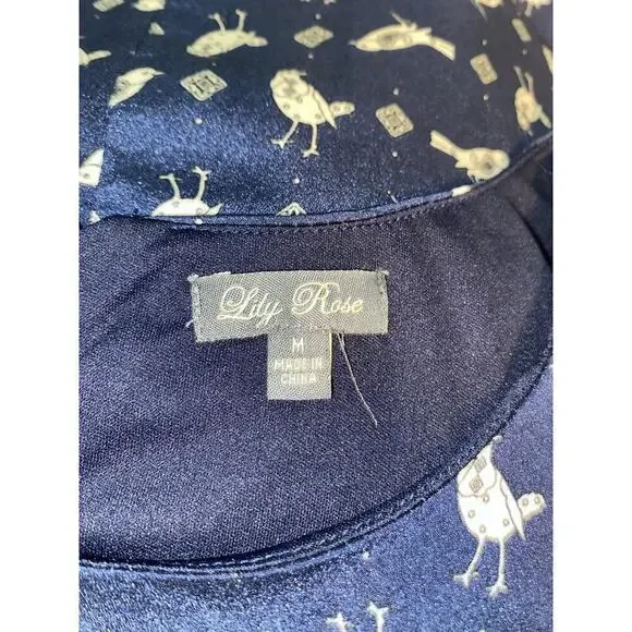 Lily Rose size Medium GUC Blue GUC Lined Dress with Birds Button Closure - Picture 11 of 12